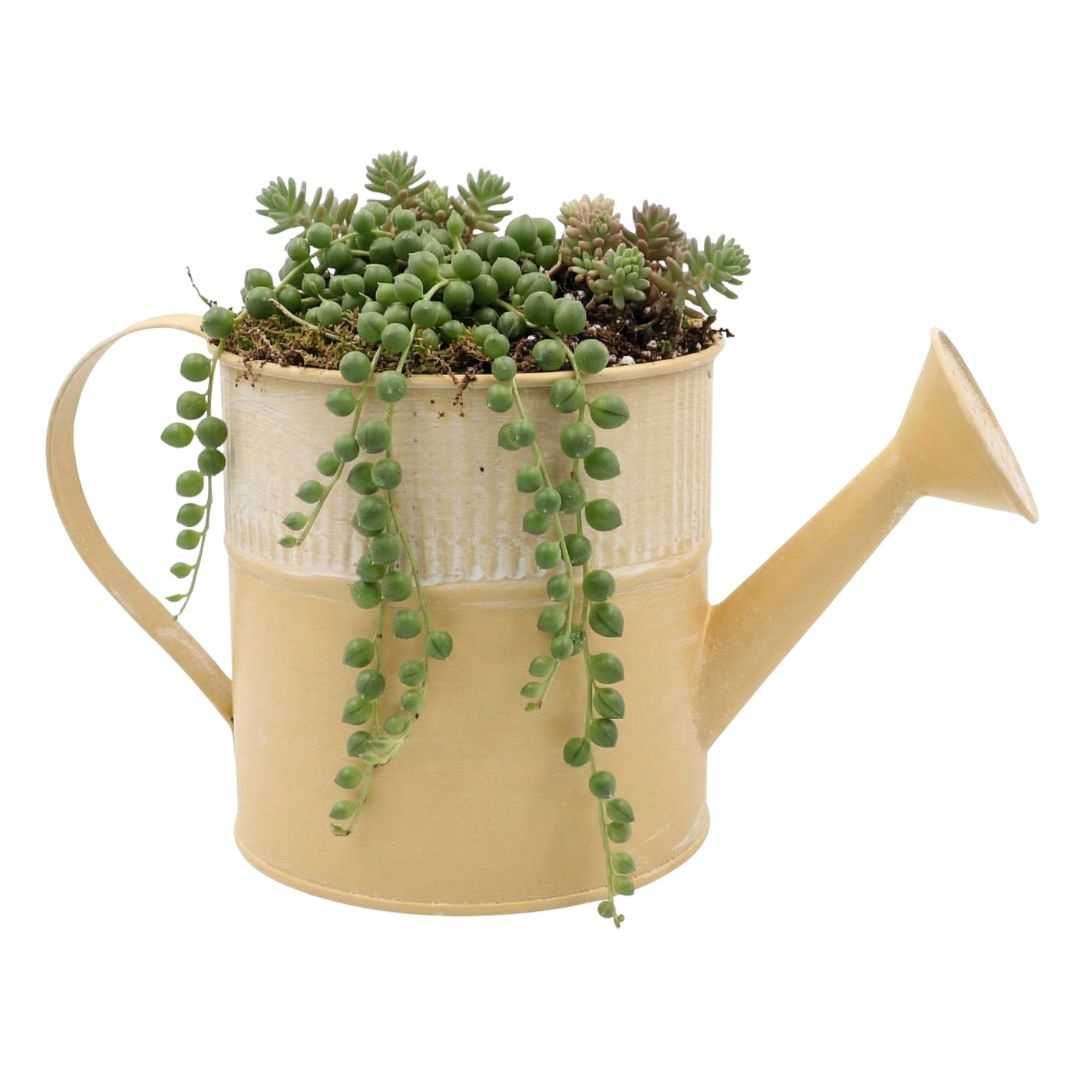 Ghiveci metalic stropitoare 13x25cm crem
