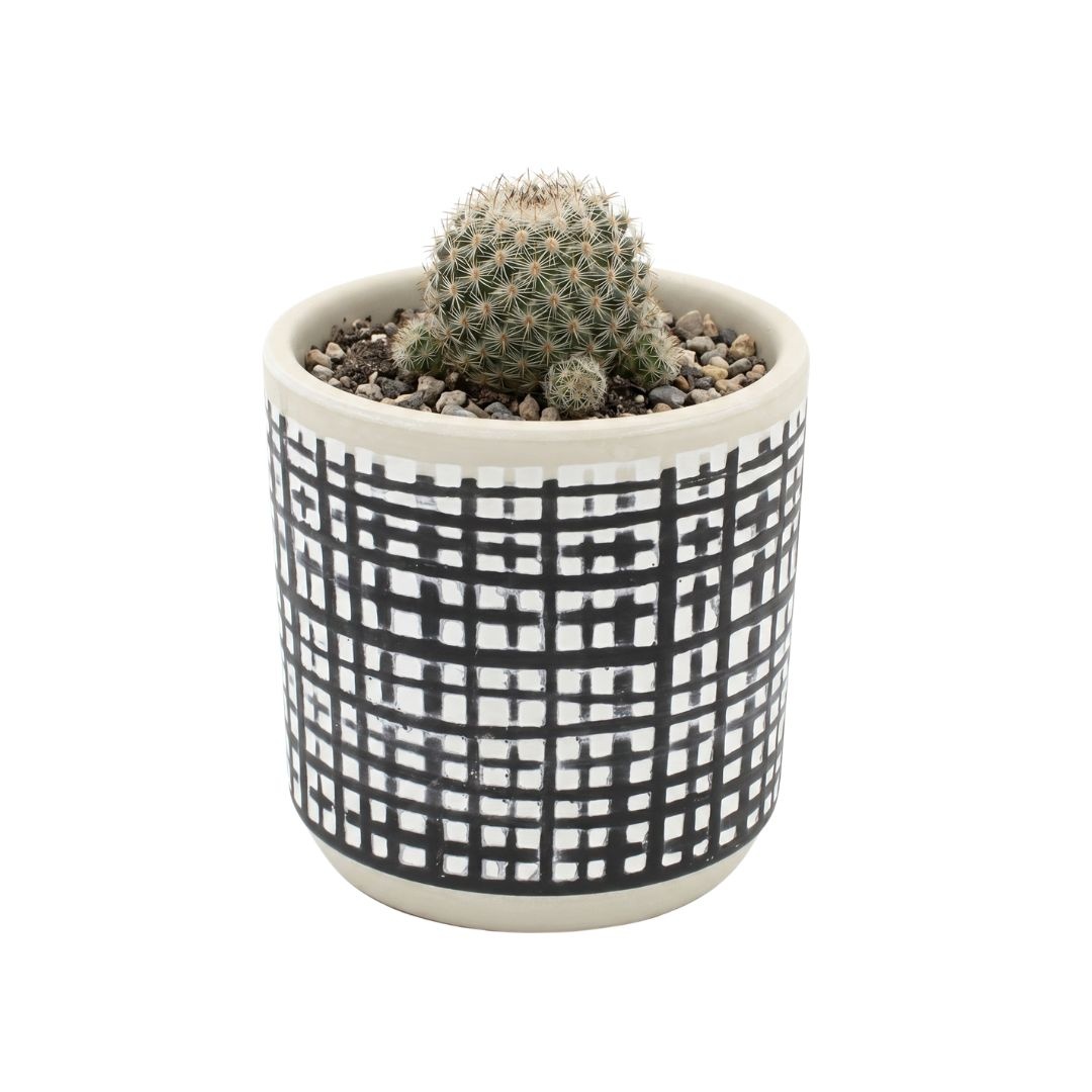 Ghiveci ceramică 9x9 cm model linii perpendiculare