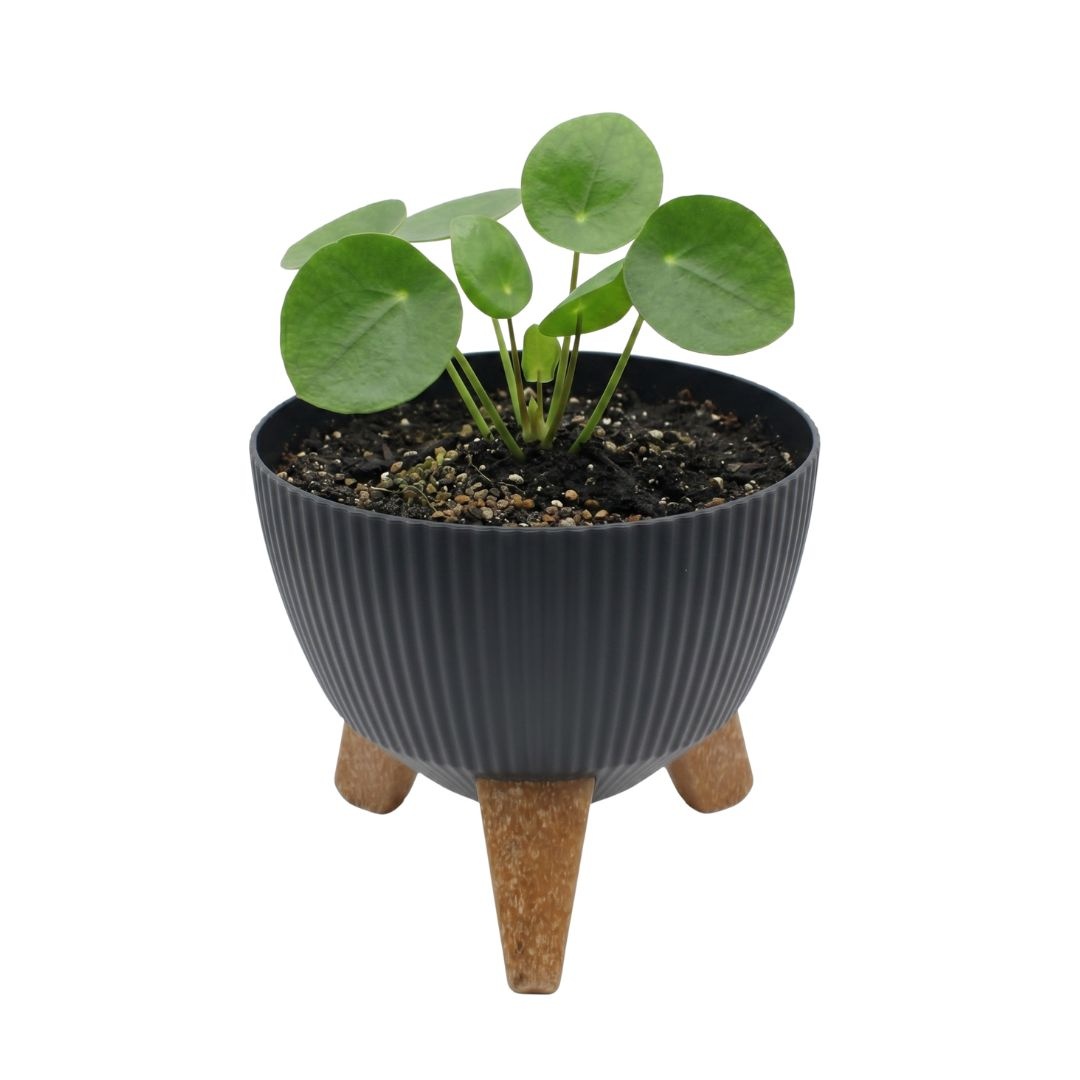 Ghiveci elegant cu trei picioare, H&S Collection, culoare negru, diametru 19 cm