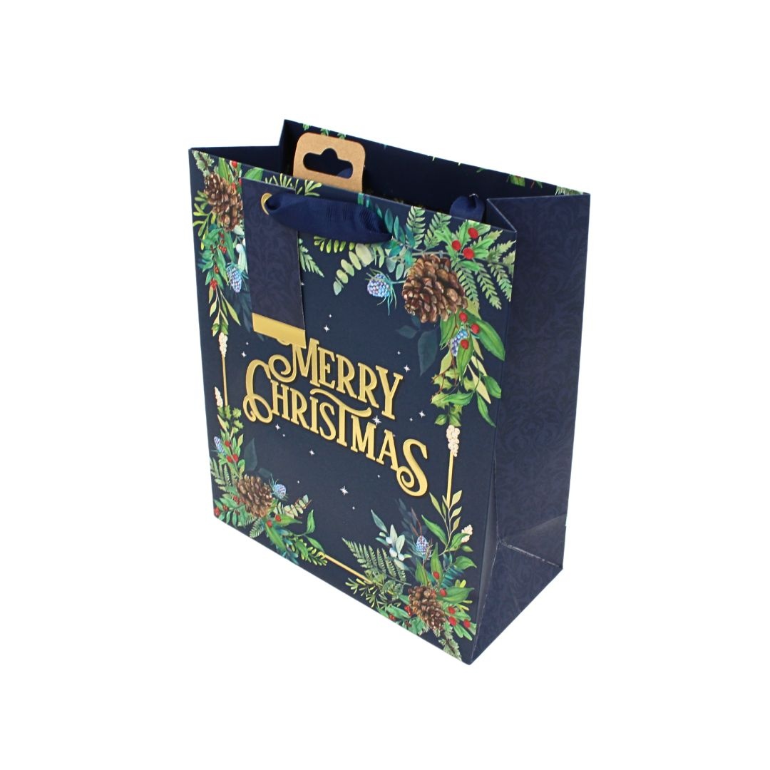 Pungă de cadou, din hârtie, colecția Clairefontaine de la Eurowrap, 33x26,5 cm, burduf de 14 cm, Merry Xmas