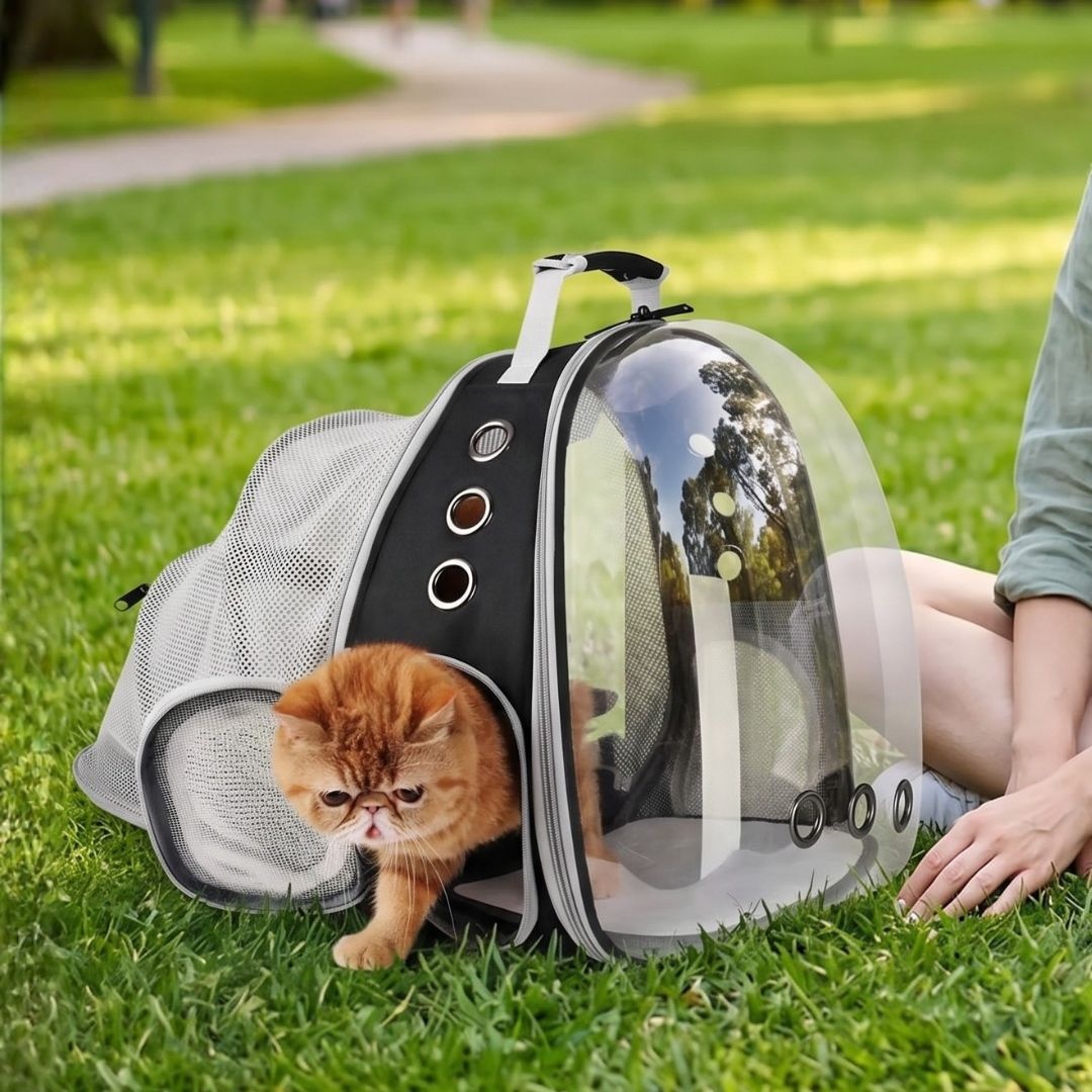 Rucsac transport animale de companie Jumi, cu ventilație completă și fereastră transparentă, fund rigid, culoare gri-negru