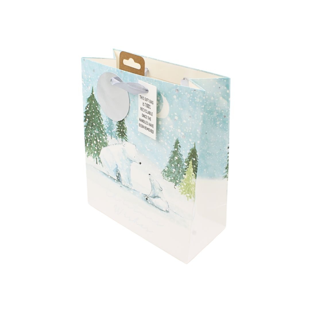 Pungă de cadou, din hârtie, colecția Clairefontaine de la Eurowrap, 25x21,5 cm, burduf de 10 cm, Polar bear