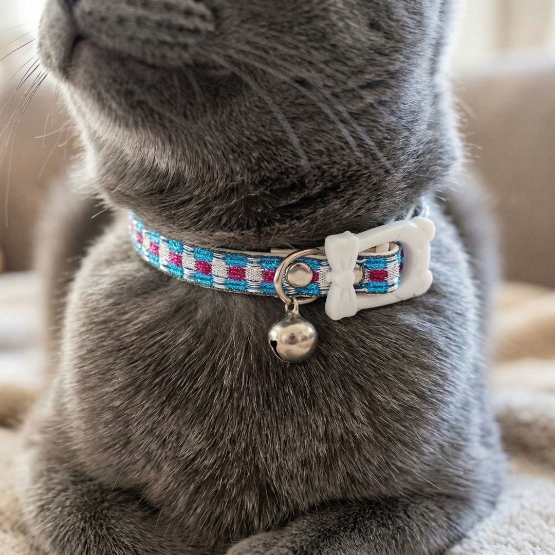 Zgardă cu clopoțel, pentru pisici, colecția Cats, 30 cm, culoarea albastru
