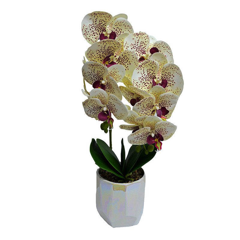 Orhidee cu aspect natural in ghiveci ceramic alb, 50 cm (CULOARE: fucsia)