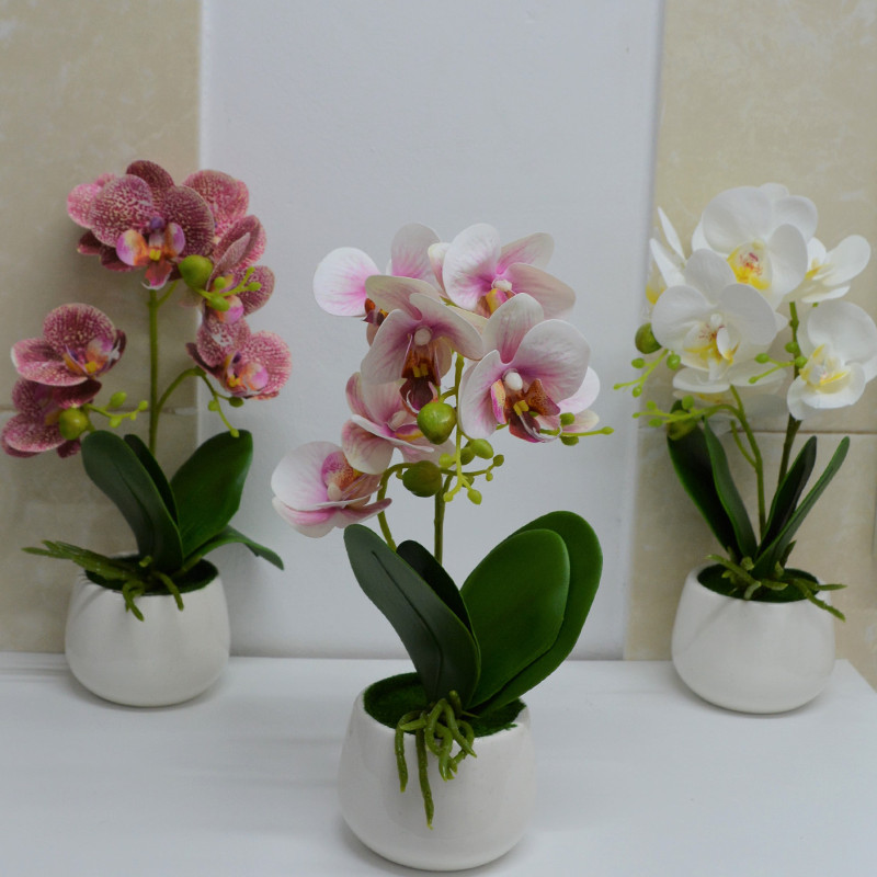 Orhidee cu aspect natural in ghiveci ceramic rotund alb, 35 cm (CULOARE: Multicolor)