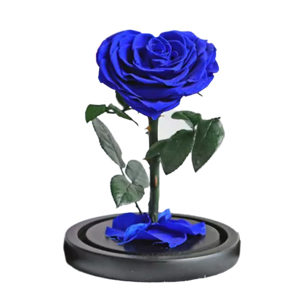 Cupola cu Trandafir Criogenat in forma de Inima Cupidon, albastru (TIP PRODUS: Aranjament floral)