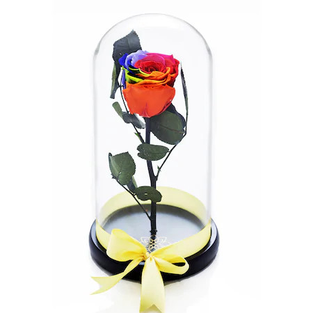 Trandafir Criogenat in cupola de sticla cu blat negru, pe pat de petale, multicolor (TIP PRODUS: Aranjament floral)