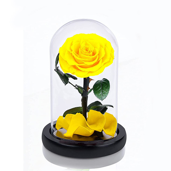 Cupola cu trandafir criogenat XXL pe pat de petale, galben