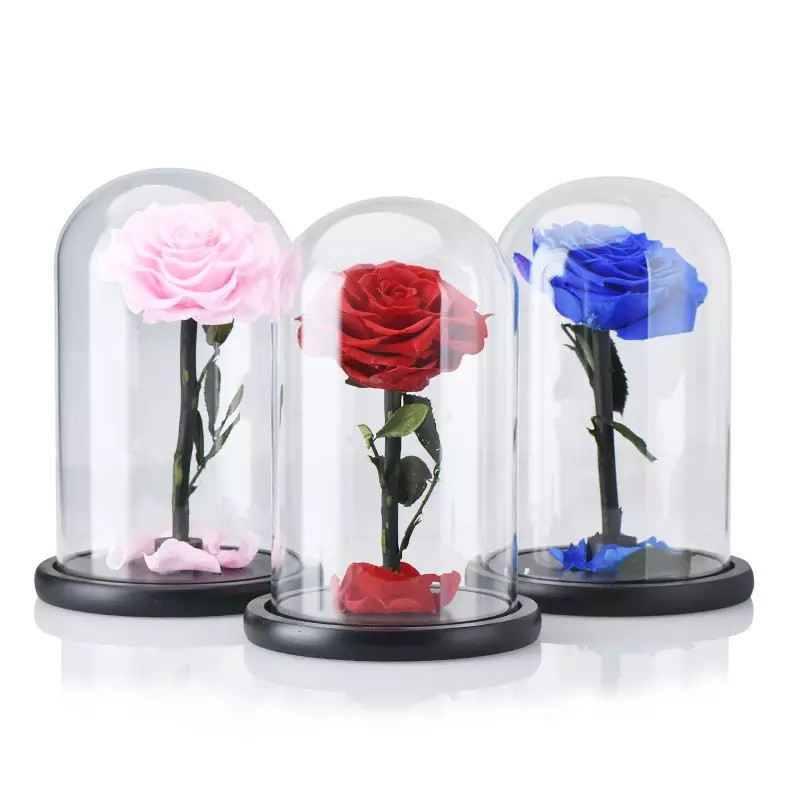 Trandafir Criogenat XXL in cupola de sticla cu blat negru, pe pat de petale (CULOARE: Pink)