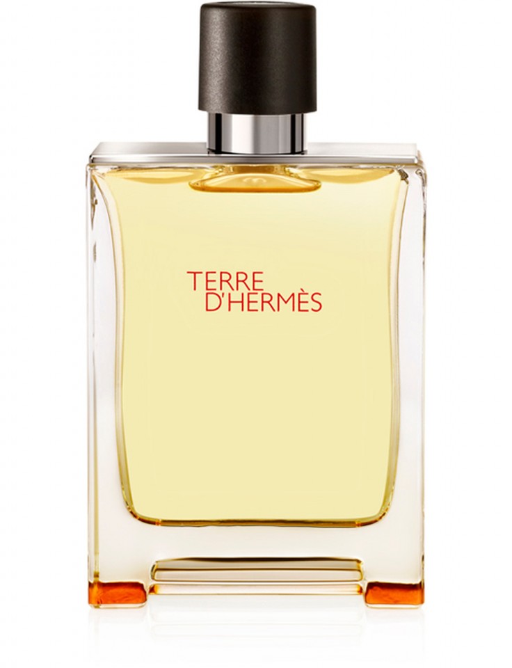 Terre D'Hermes, Barbati, Apa de Toaleta (Concentratie: Apa de Toaleta, Gramaj: 100 ml Tester)