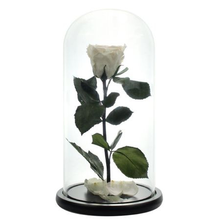 Trandafir criogenat in cupola de sticla 25 cm, pe pat de petale (CULOARE: Negru)