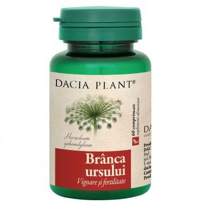 Branca Ursului Dacia Plant 60 comprimate (Concentratie: 400 mg)