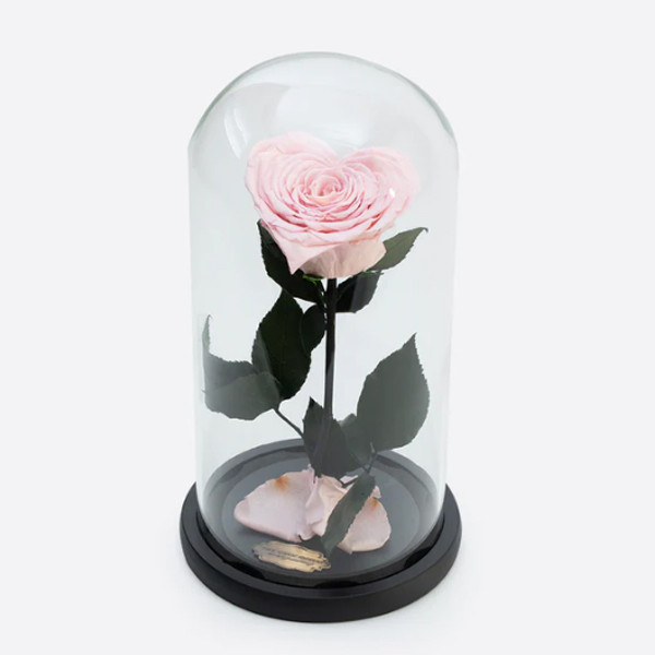 Cupola cu trandafir criogenat in forma de inima pe pat de petale, roz