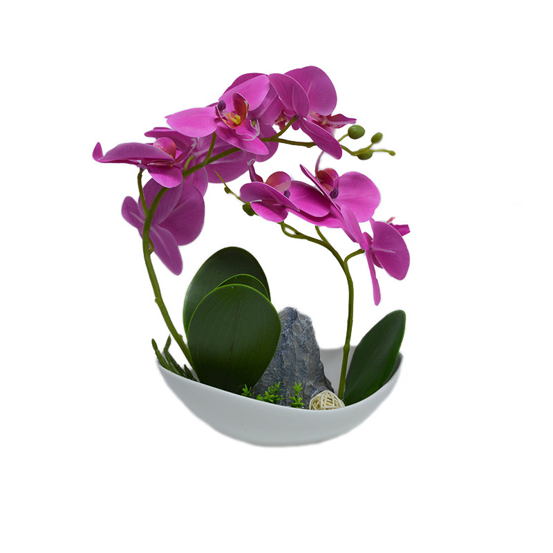 Orhidee cu aspect natural in ghiveci ceramic barcuta, alb, 25 cm (CULOARE: Multicolor)