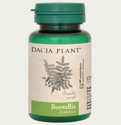 Boswellia Dacia Plant 60 comprimate (Concentratie: 500 mg)