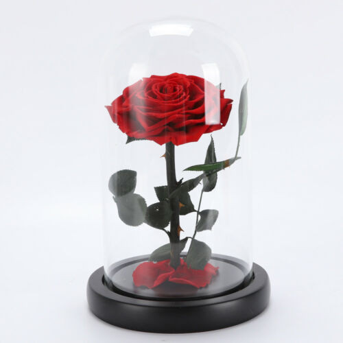 Trandafir criogenat XXL in cupola de sticla cu blat negru (CULOARE: argintiu)