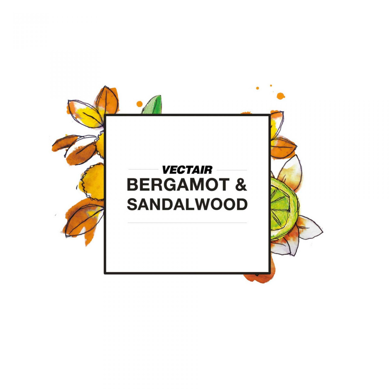 Odorizant V-AIR SOLID - BERGAMOT SANDALWOOD