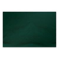 Perete pavilion PROFI 3x3 m - verde - fara fereastra - 2 buc