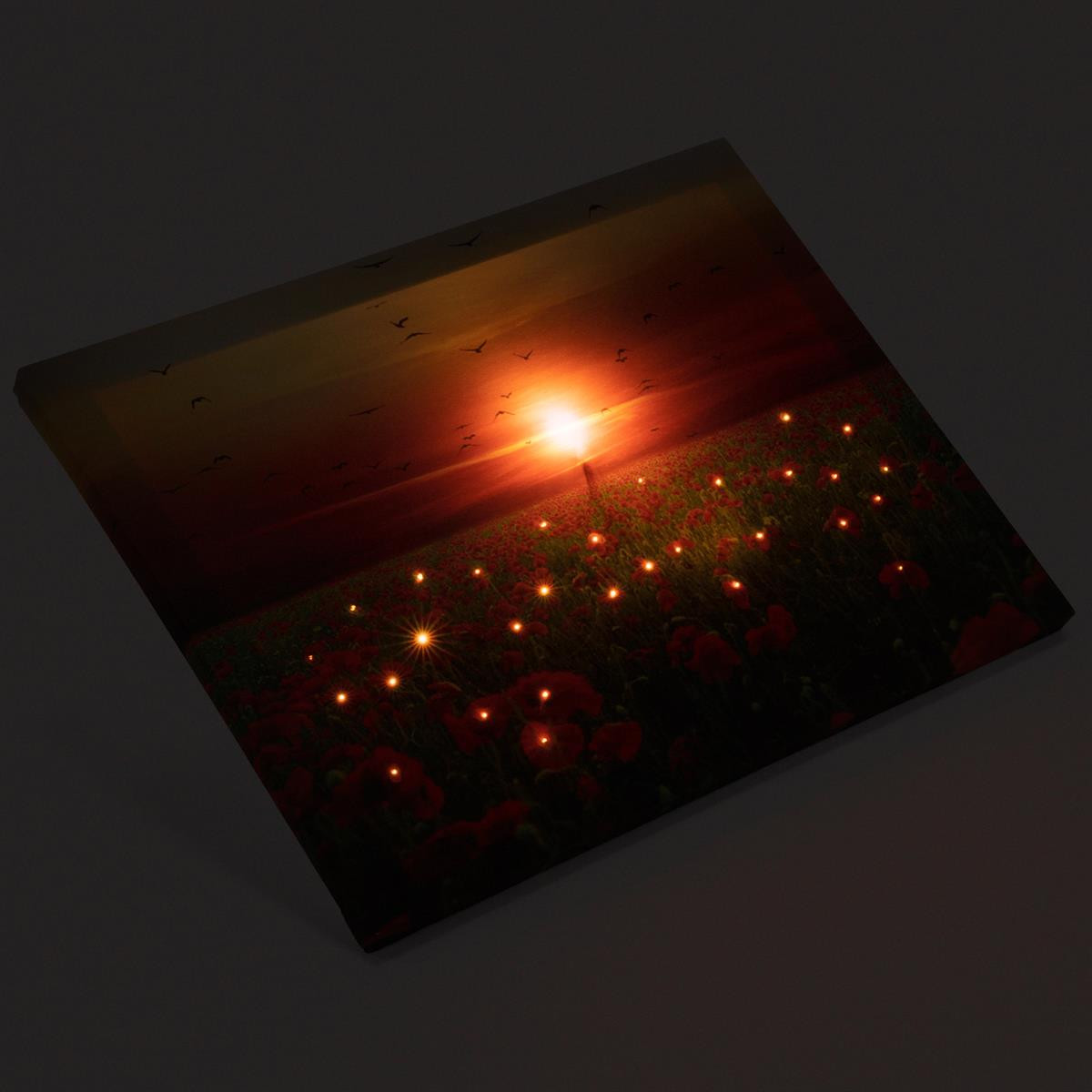 Tablou iluminat 1 led cu timer - 30x40cm - print digital pe canvas - camp de maci