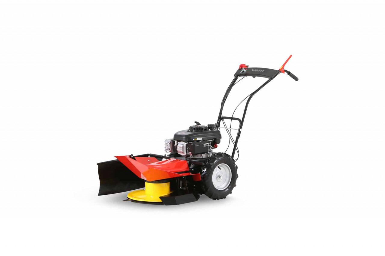 maşina tuns iarba briggs&stratton Motocositoare Vari BDR-620 DZ Dorotha Motor Vari XP200