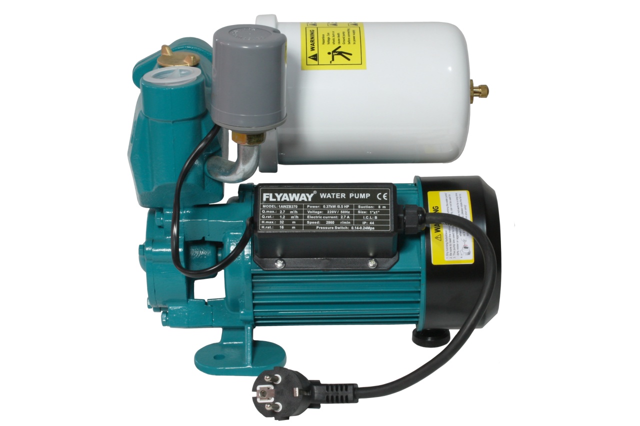 Mini hidrofor Micul Fermier 0.37 kW, debit maxim 2200l/h, inaltime maxima de pompare 33m, corp pompa fonta, capacitate vas expansiune 2 litri - imagine 3