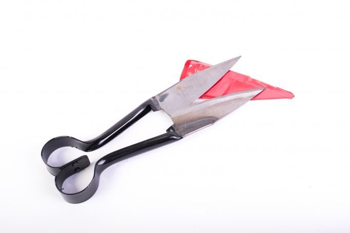 Foarfeci - Foarfeca Micul Fermier pentru tuns oi, culoare Negru