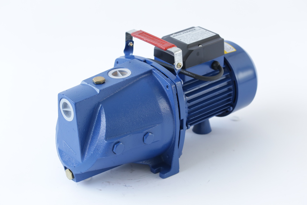 Pompa de suprafata Micul Fermier, 1.1 kW, debit maxim 3600 l/h, inaltime maxima de pompare 45m, corp pompa fonta - imagine 2