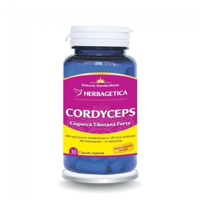 Cordyceps 10/30/1 - 30 cps