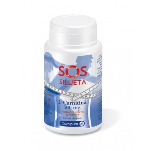L-Carnitina 500 mg - 60 cps