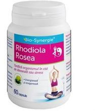 Rhodiola Rosea - 60 cps