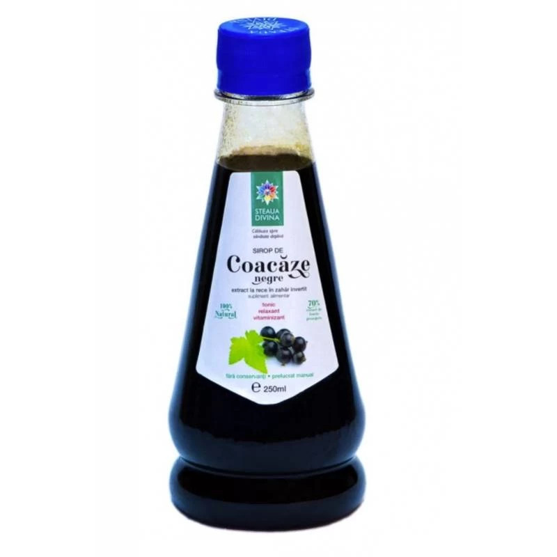 Sirop de Coacaze negre - 250 ml