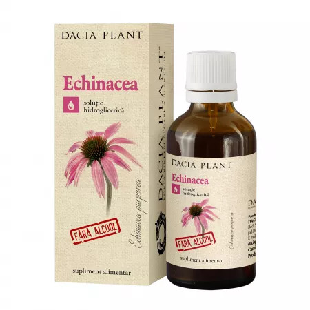 Tinctura Echinacea fara alcool - 50 ml