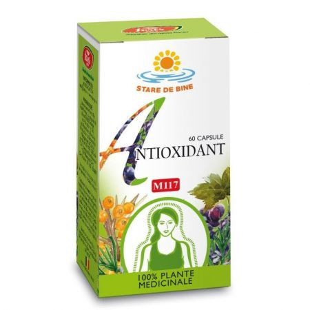 Antioxidant, M117 - 60 cps