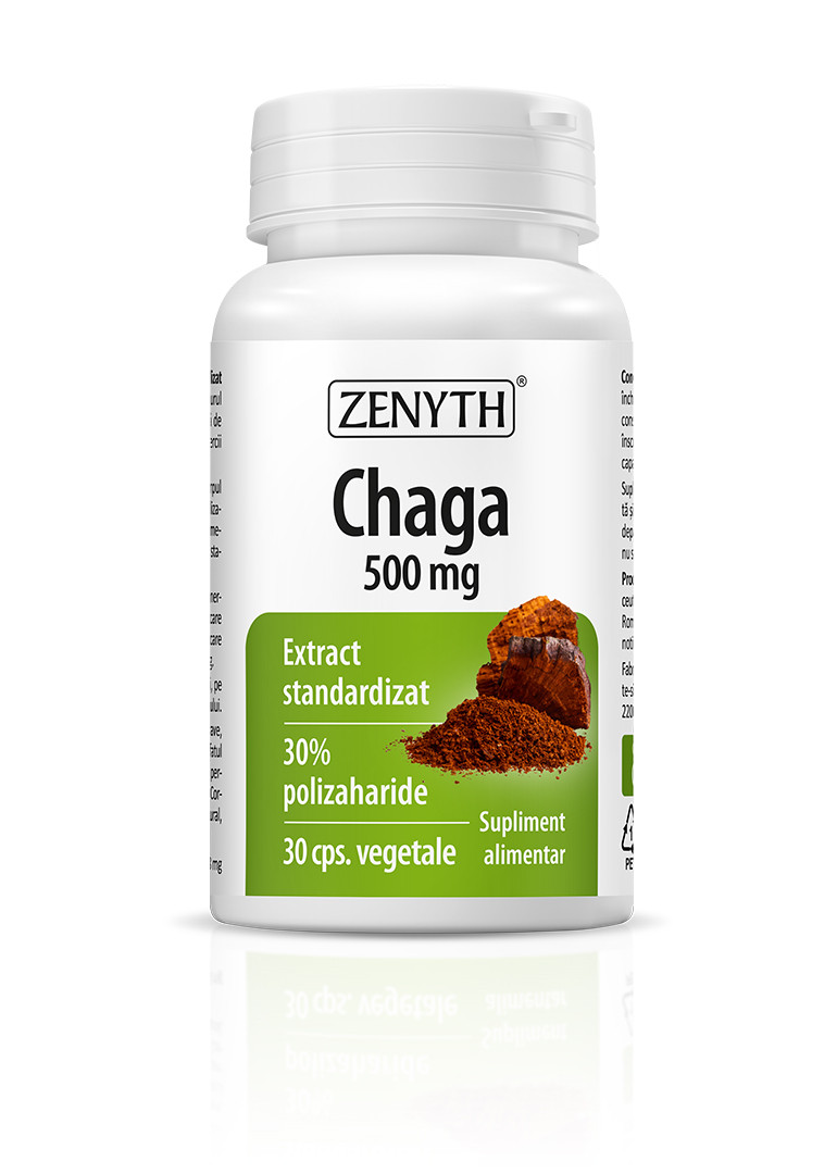 Chaga, 500 mg - 30 cps