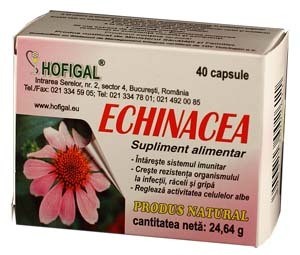 Echinacea capsule Hofigal