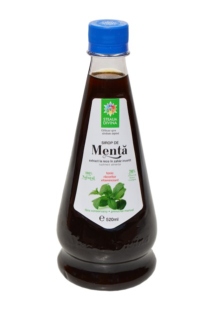Sirop de Menta - 520 ml