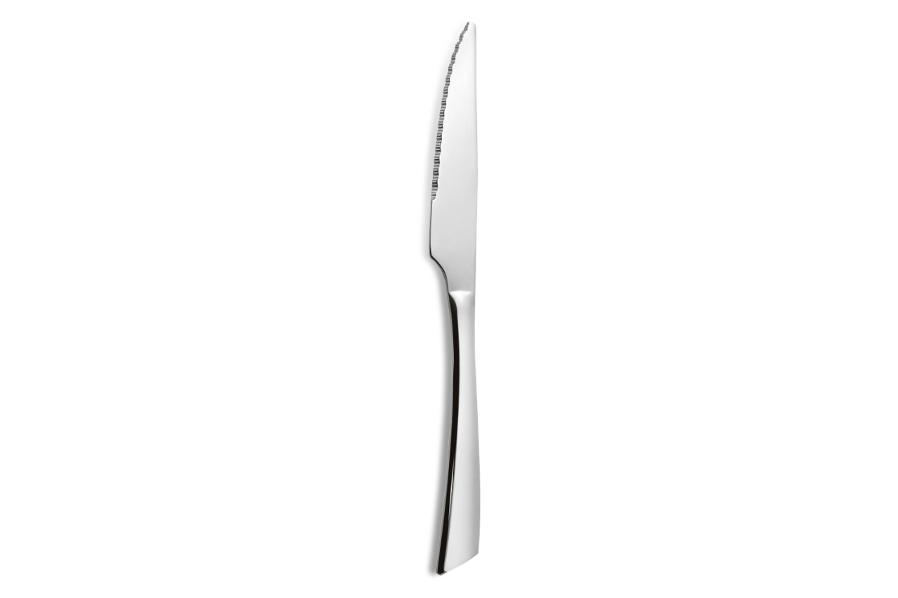 Cutit steak Nice - 3197