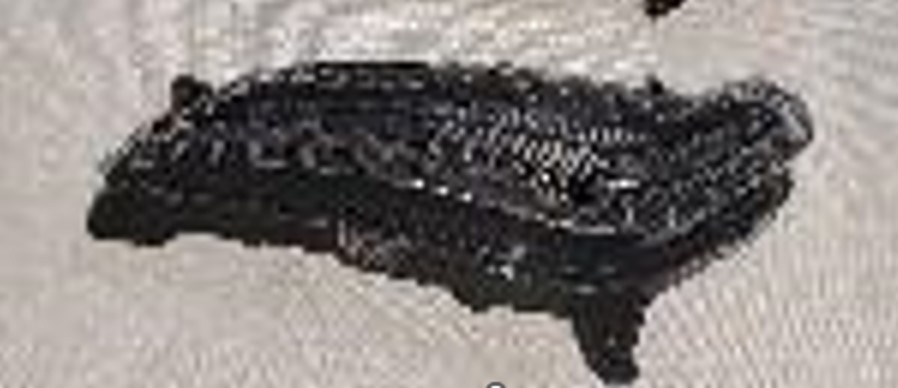 mașini de vânzare craiova benzina Semnalizare fata Stanga RS6-Scuter benzina RS6