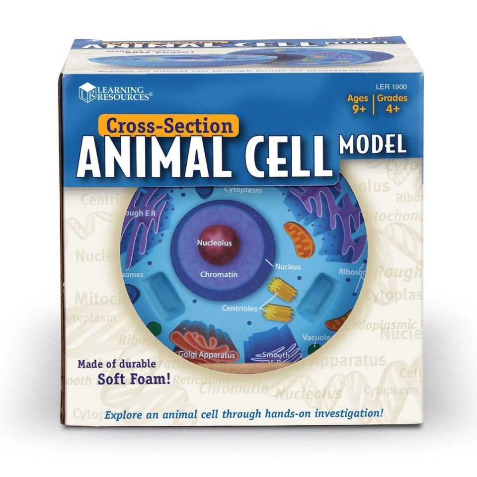 Sectiunea celulei animale Jocuri