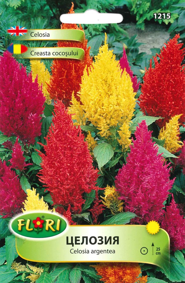 Creasta Cocosului - Seminte Flori Creasta Cocosului de la Florian