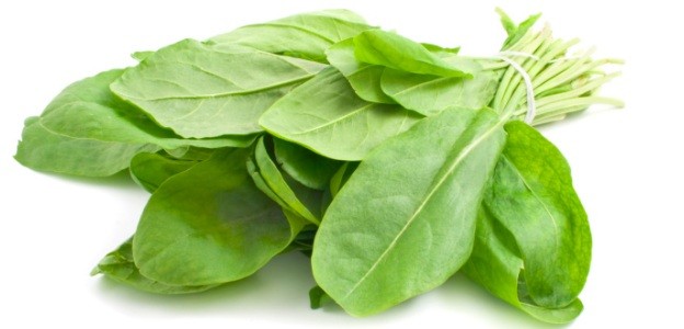 Macris (1000 seminte) planta aromatica si medicinala, Florian