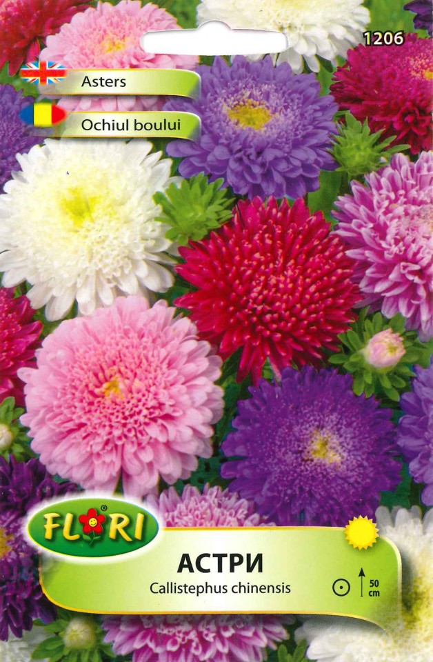 Ochiul Boului mix (250 seminte) flori Ochiul Boului amestec de culori, Florian