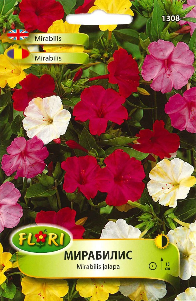 Mirabilis mix (30 seminte) Mirabilis mix de culori, Florian