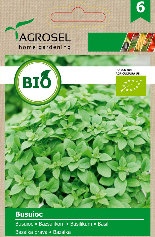 Busuioc BIO (100 seminte) busuioc verde ECO certificat ecologic planta aromatica, Agrosel
