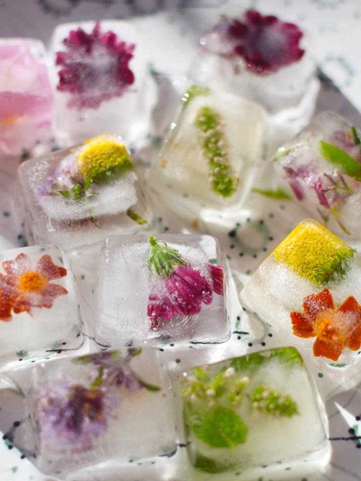 Ice Cube (600 seminte) flori colorate pentru decorarea alimentelor si bauturilor, Seklos