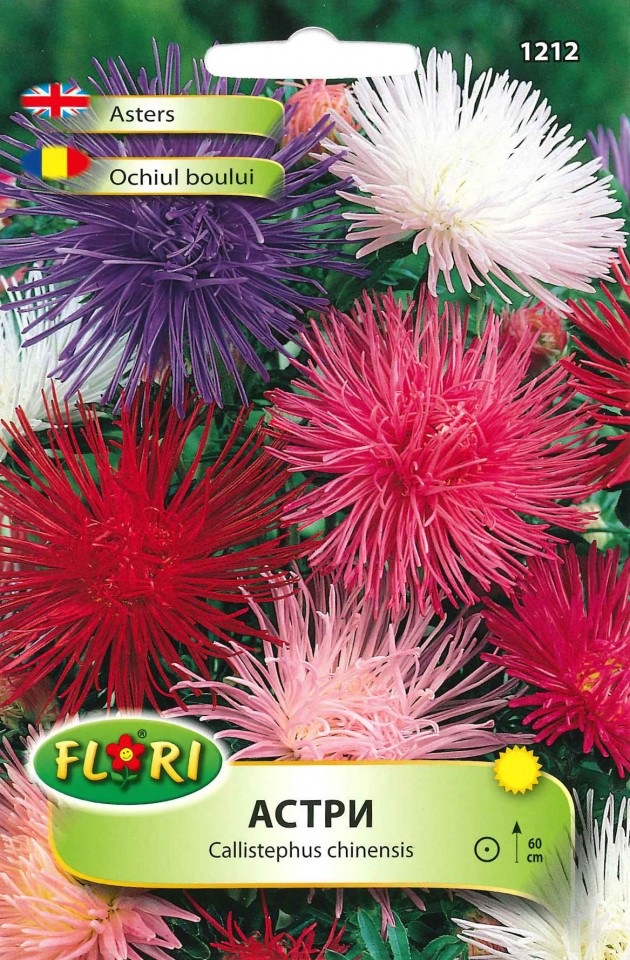 Ochiul Boului Unicum Mix (250 seminte) Ochiul Boului flori cu petale ascutite, Florian