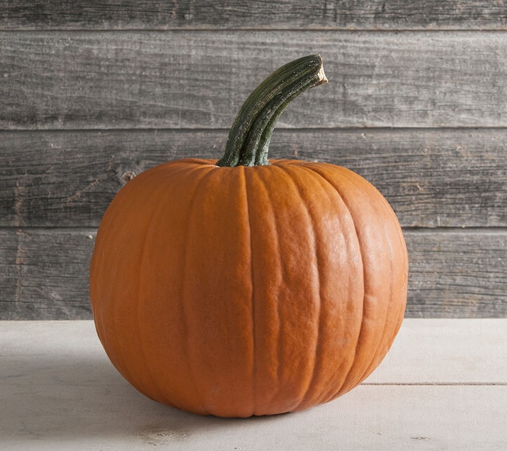 Racer F1 (250 seminte) dovleac de Halloween, portocaliu, 4-7 kg, Graines Voltz