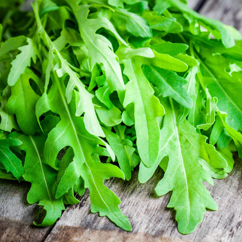 Rucola (8 gr) de rucola planta aromatica de la Agrosem