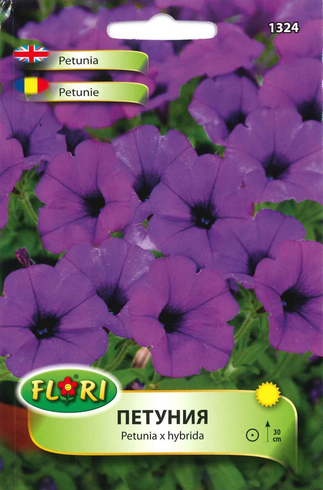 Petunie Mov (500 seminte) flori Petunii purple, Florian