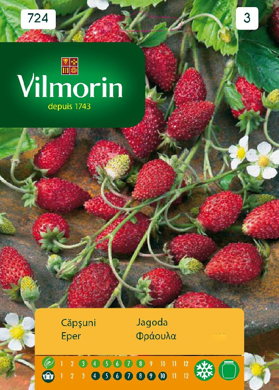 Seminte de Capsuni (450 seminte), soi cu productivitate ridicata cu fructe foarte gustoase, Vilmorin